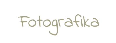 Fotografika logo doorzichtige achtergrond